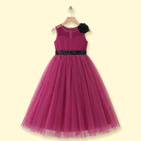 Girls Dark Pink Floral Applique Fit & Flare Party Dress Party Dresses Dark Pink 2-3 Y