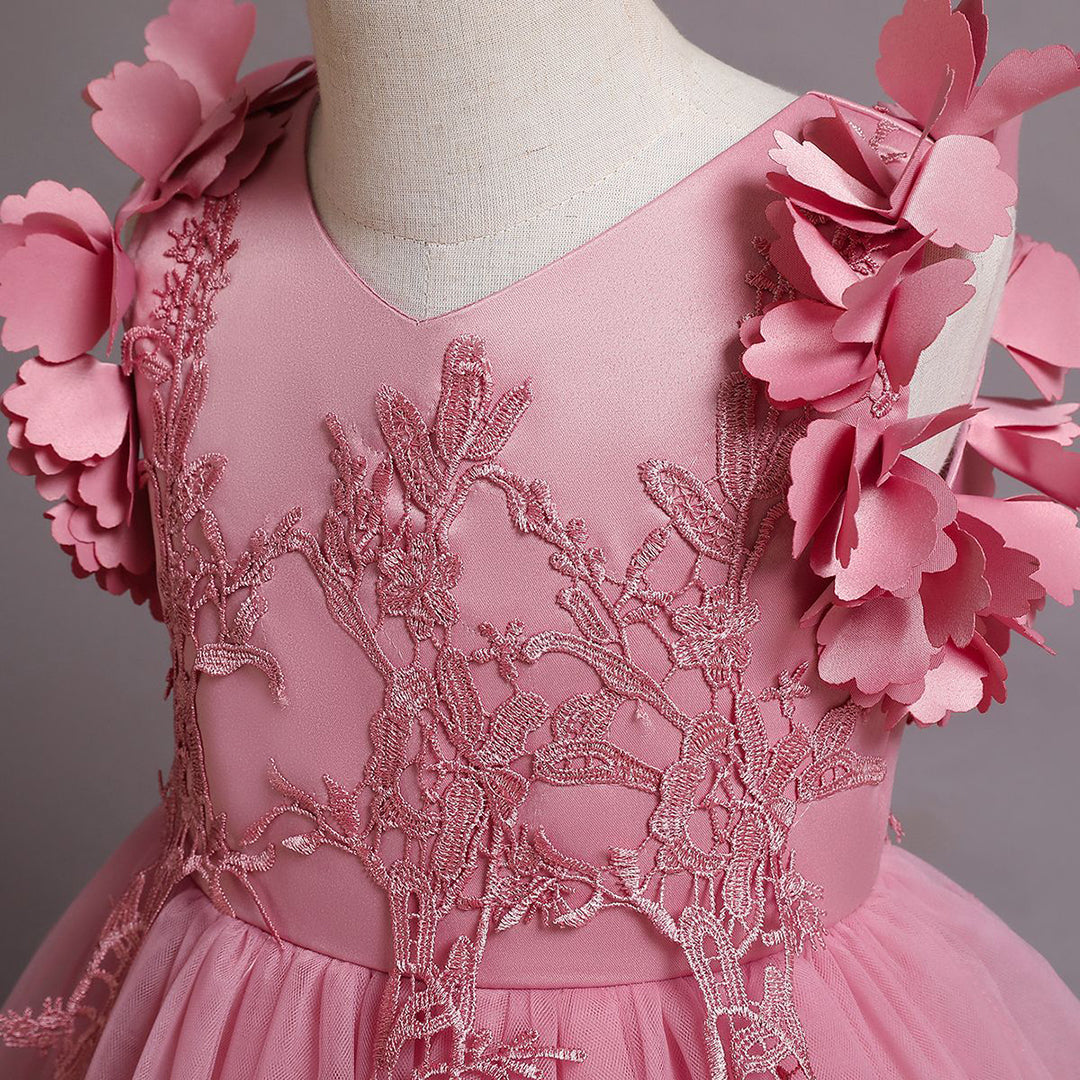 Girls Embroidered Fit & Flare Party Dress Party Dresses   