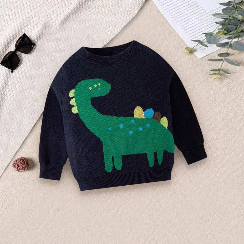Boys Dinosaur Print Pullover