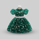 Net Embroidery Dress