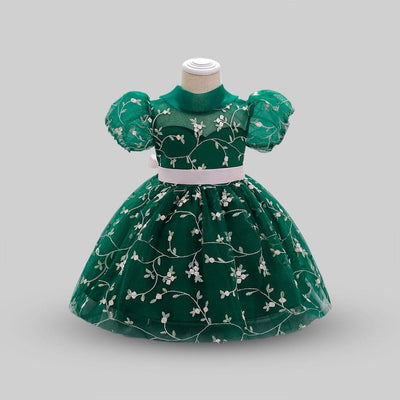 Net Embroidery Dress