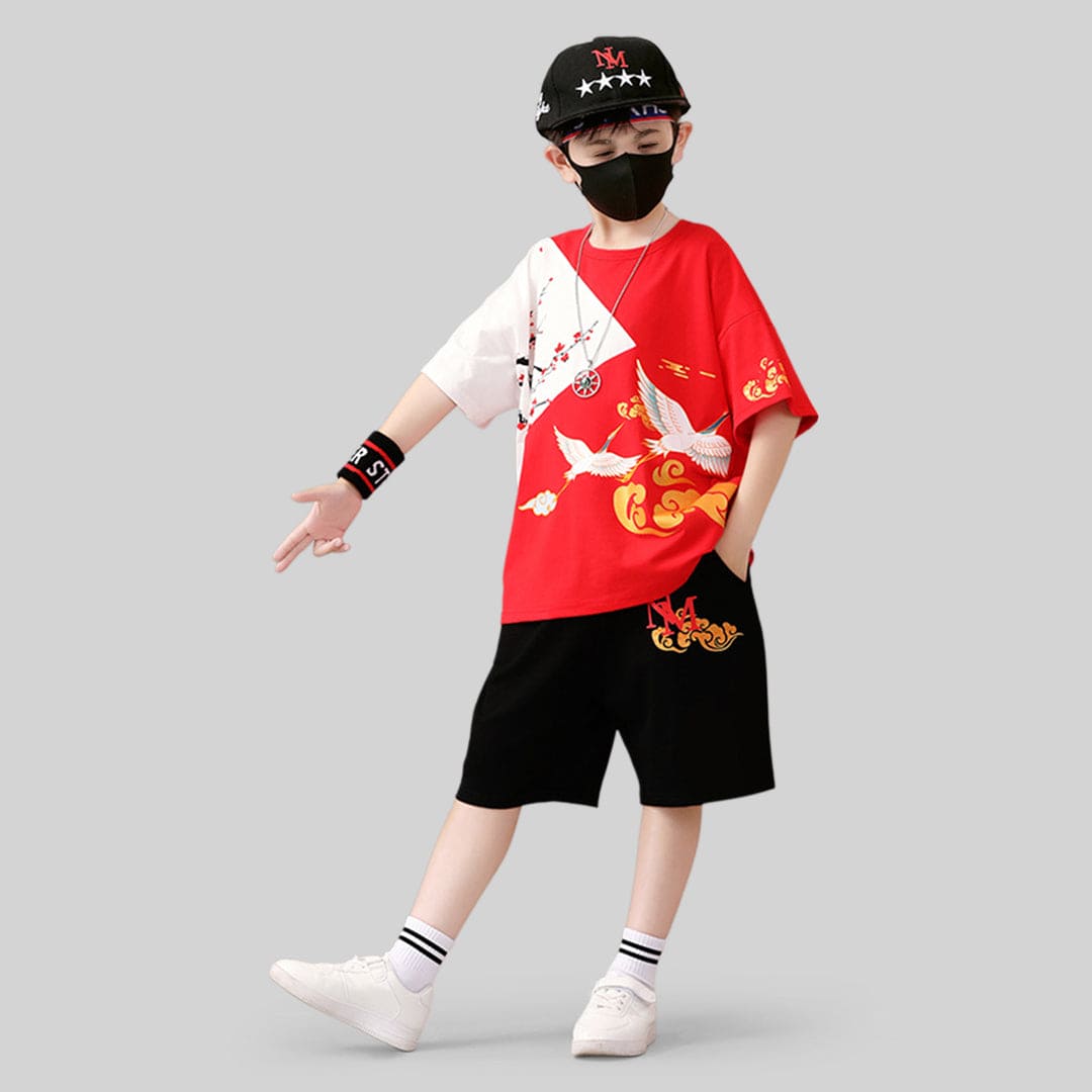 Boys Graphic Short Sleeve T-Shirt With Shorts 2 pc. Sets   