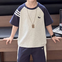 Boys Navy Blue Embroidered Raglan Sleeve T-Shirt With Shorts Sets 2 pc. Sets