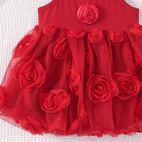 Girls Red Sleeveless Floral Applique Balloon Dress Casual Dresses