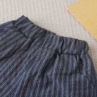 Boys Blue Striped Shorts with Short Sleeves T-shirt with attached Waistcoat Set Sets