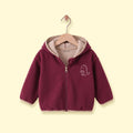 Boys Burgundy Dinosaur Embroidered Hooded Jacket Coats & Jackets burgundy 1-2 Y