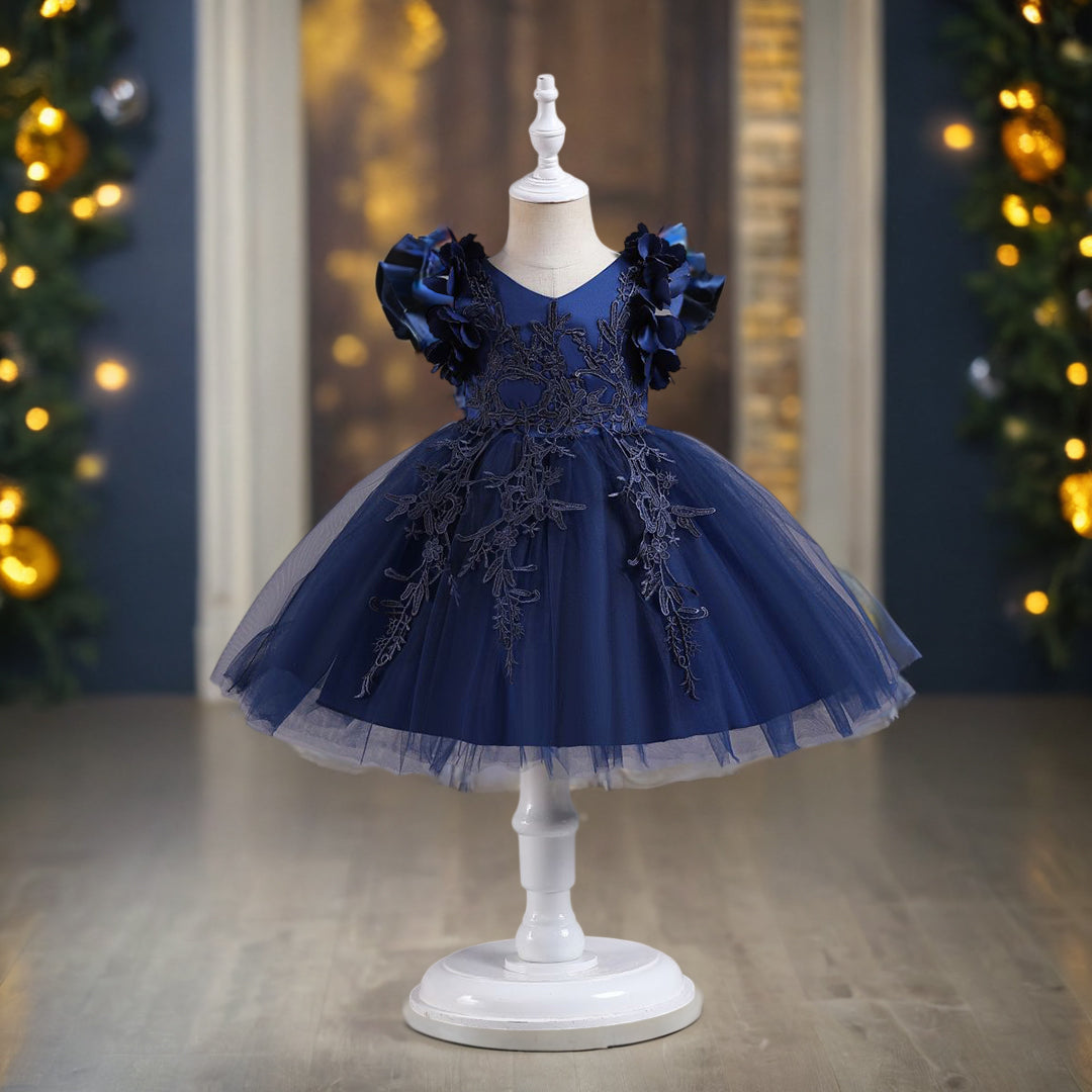 Girls Embroidered Fit & Flare Party Dress Party Dresses Blue 1-2 Y 