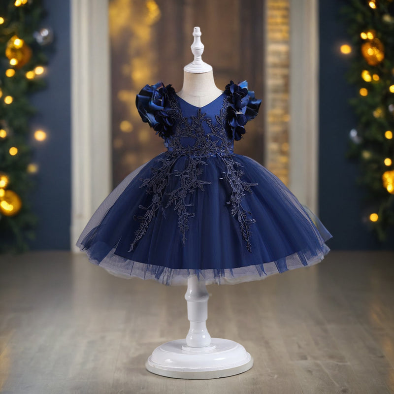 Girls Embroidered Fit & Flare Party Dress Party Dresses Blue 1-2 Y 
