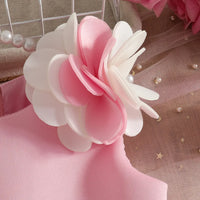Girls Pink Sleeveless Fit & Flare Party Wear Dress With Delicate Floral Appliques Party Dresses