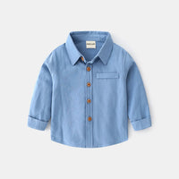 Boys Light Blue Long Sleeves Button-down Shirts Shirts