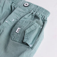Boys Green Stripes Lion Embroidery Shirt With Twill Shorts Sets 2 pc. Sets
