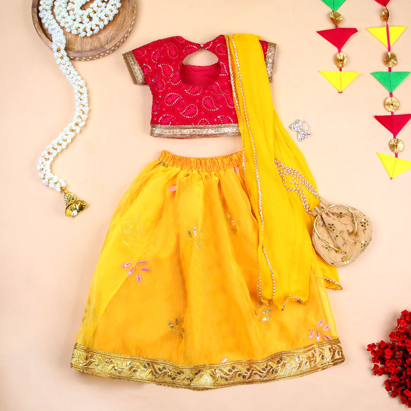 Girls Embroidered Lehenga Set Ethnic Gift Hamper Sets