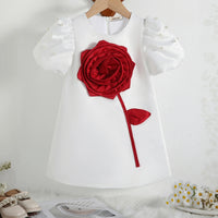 Girls White Pearl Embellished A-line Party Dress With 3D Flower applique Party Dresses White 2-3 Y