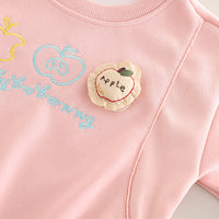 Girls Pink Embroidered Sweatshirt With Pants Set 2 pc. Sets