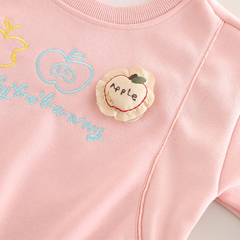 Girls Pink Embroidered Sweatshirt With Pants Set 2 pc. Sets