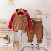 Boys Brown Color-Blocked Fleece Hooded Zipper Jacket With Jogger Co-ord Sets Sets Brown 1-2 Y