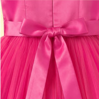 Girls Fuchsia Solid Sleeveless Party Gown Party Dresses