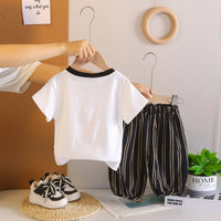 Boys White Cat Printed T-Shirt With Stripe Pants Sets Sets