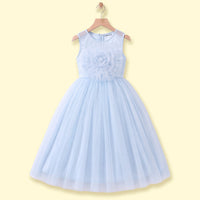 Girls Blue Floral Applique Sleeveless Party Gown Party Dresses Blue 2-3 Y