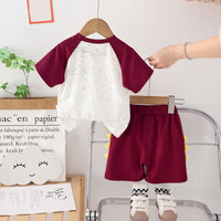 Boys Maroon Raglan Sleeves Dinosaur Printed T-Shirt With Shorts Set 2 pc. Sets