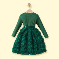Girls Green Rose Applique Long Sleeve Fit & Flare Dress Casual Dresses