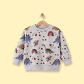Boys Grey Graphic Round Neck Sweatshirt Sweatshirts & Hoodies Grey 1-2 Y