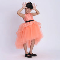 Girls Orange Flower Applique Sleeveless Fit & Flare Dress With Tulle High-Low Hemline Party Dresses