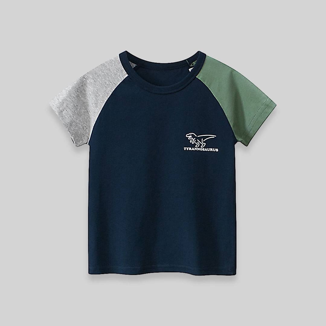 Boys Dinosaur Print Tshirt Tshirts