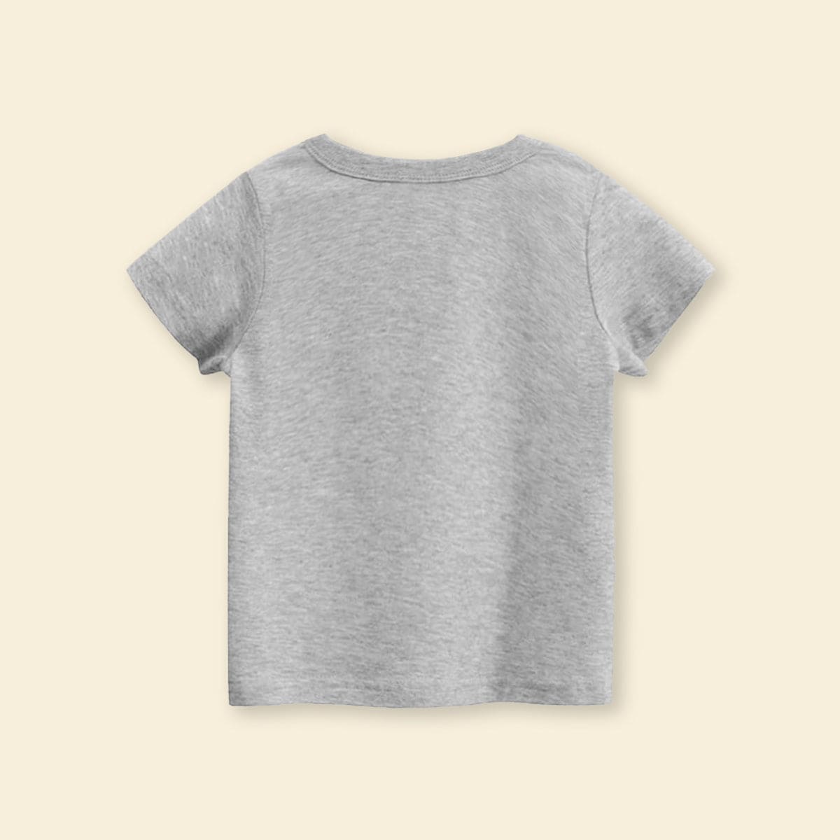 Boys Grey Short Sleeve Round Neck T-Shirt T-Shirt