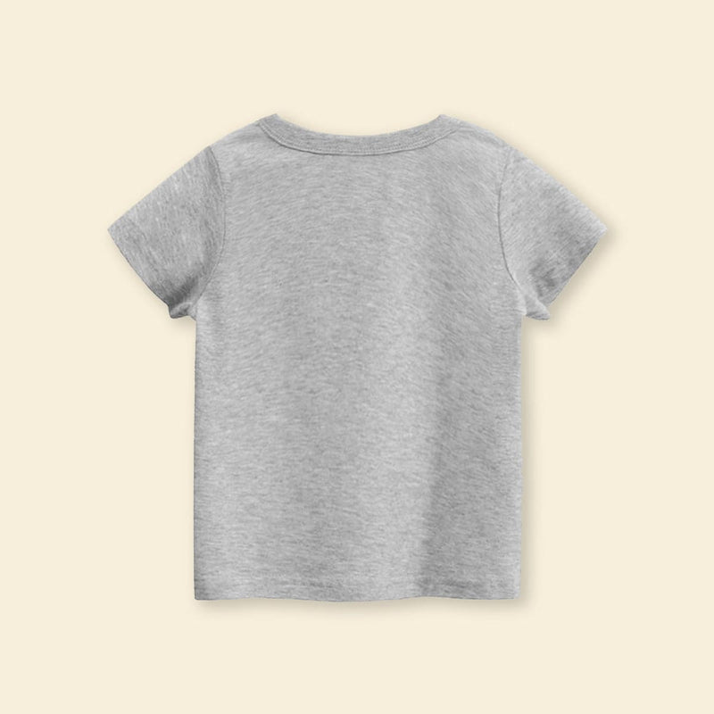 Boys Grey Short Sleeve Round Neck T-Shirt T-Shirt