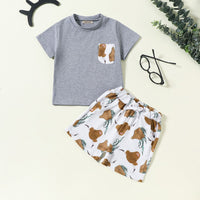 Boys Shorts Sleeves T-Shirt With Printed Shorts Set Sets Brown 1-2 Y 