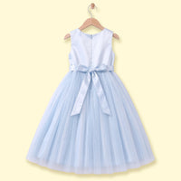 Girls Blue Floral Applique Sleeveless Party Gown Party Dresses