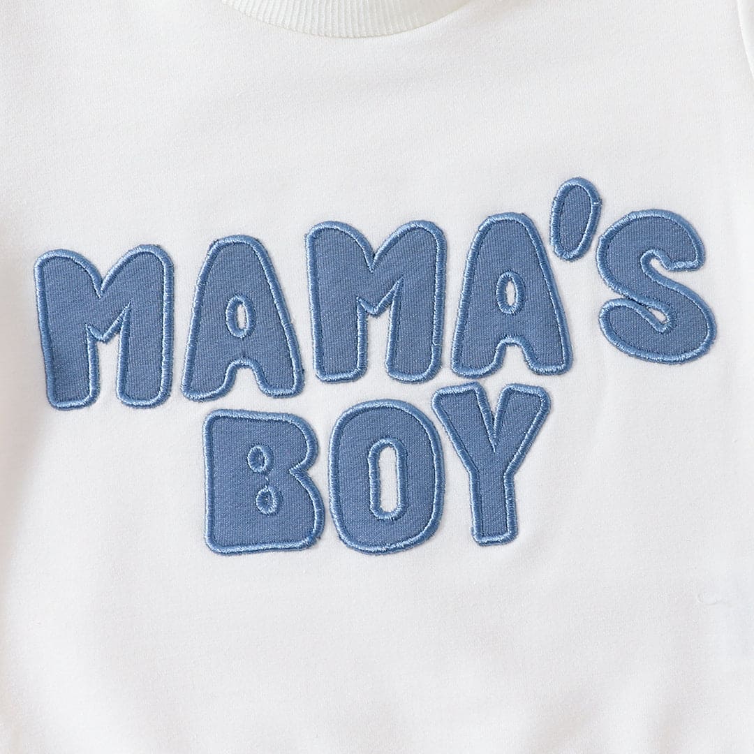 Boys Embroidered Short Sleeves T-Shirt With Shorts Set Sets   