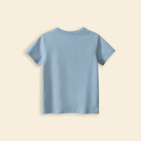 Boys Grey Graphic Cartoon Printed T-Shirt Tshirts