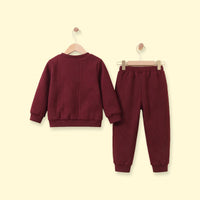 Boys Brown Embroidered Sweatshirt With Pants Sets 2 pc. Sets