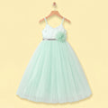 Girls Light Green Floral Applique Fit & Flare Party Dress Party Dresses Light Green 2-3 Y