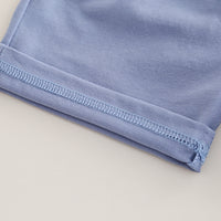 Boys Blue Colorblocked Typographic Printed T-Shirt With Shorts Set 2 pc. Sets