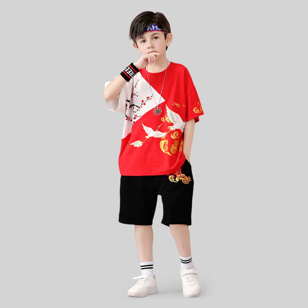 Boys Graphic Short Sleeve T-Shirt With Shorts 2 pc. Sets   