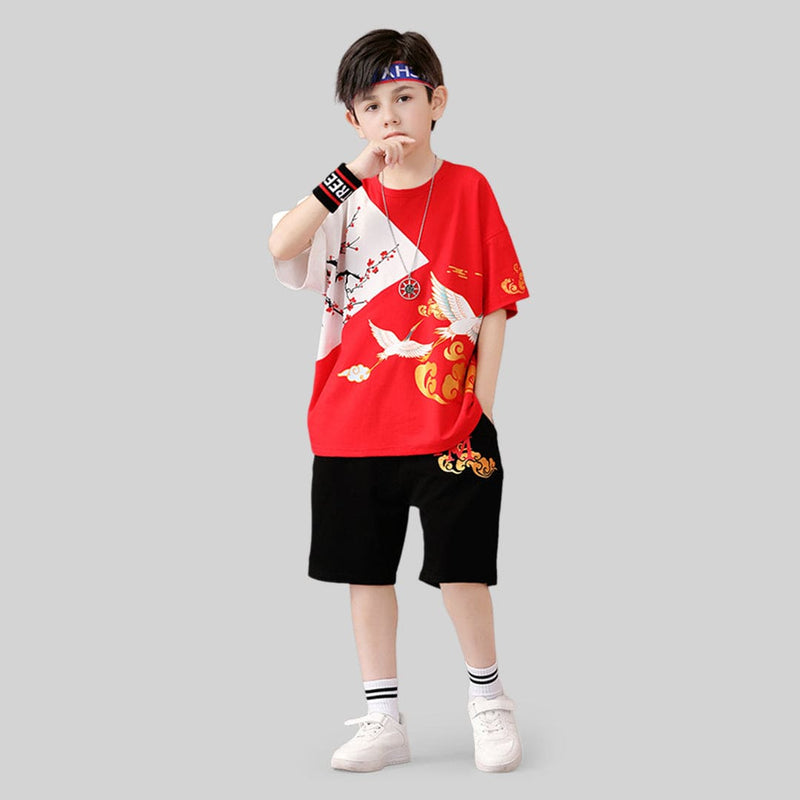 Boys Graphic Short Sleeve T-Shirt With Shorts 2 pc. Sets   