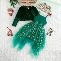 Girls Green Embroidered Tulle Overlay Fit & Flare Dress With Shrug Casual Dresses Green 2-3 Y