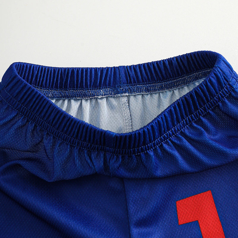 Boys Royal Blue Colorblocked Short Sleeve T-Shirt With Shorts Sets 2 pc. Sets