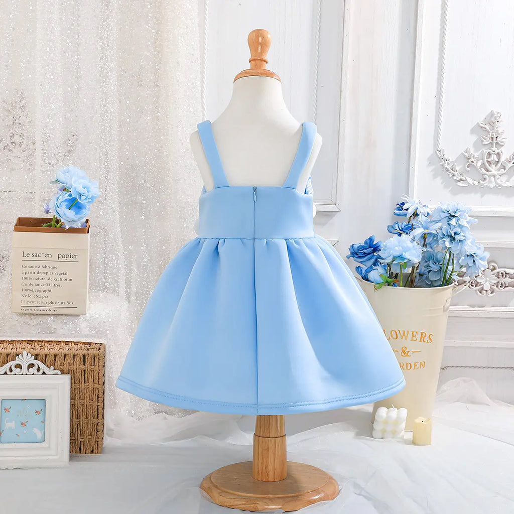Girls Sky Blue Floral Applique Fit & Flare Party Dresses Party Dresses
