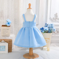 Girls Sky Blue Floral Applique Fit & Flare Party Dresses Party Dresses