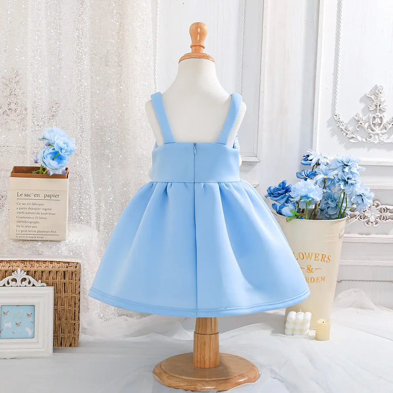 Girls Sky Blue Floral Applique Fit & Flare Party Dresses Party Dresses