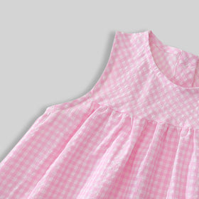 Girls Pink Gingham Checked Sleeveless A-line Dress With Duck Applique Casual Dresses