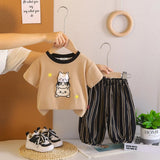 Boys Khaki Cat Printed T-Shirt With Stripe Pants Sets