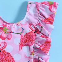 Girls Pink Flamingo Printed Ruffled Swimwear Bodysuit Beachwear