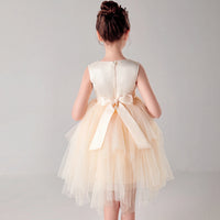 Girls Champagne Sequin Embellished Tutu Party Wear Dress Party Dresses