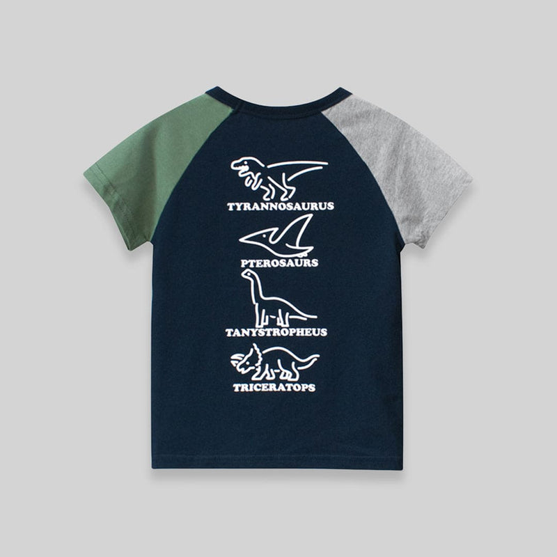 Boys Dinosaur Print Tshirt Tshirts