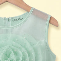 Girls Light Green Floral Applique Fit & Flare Party Dress Party Dresses